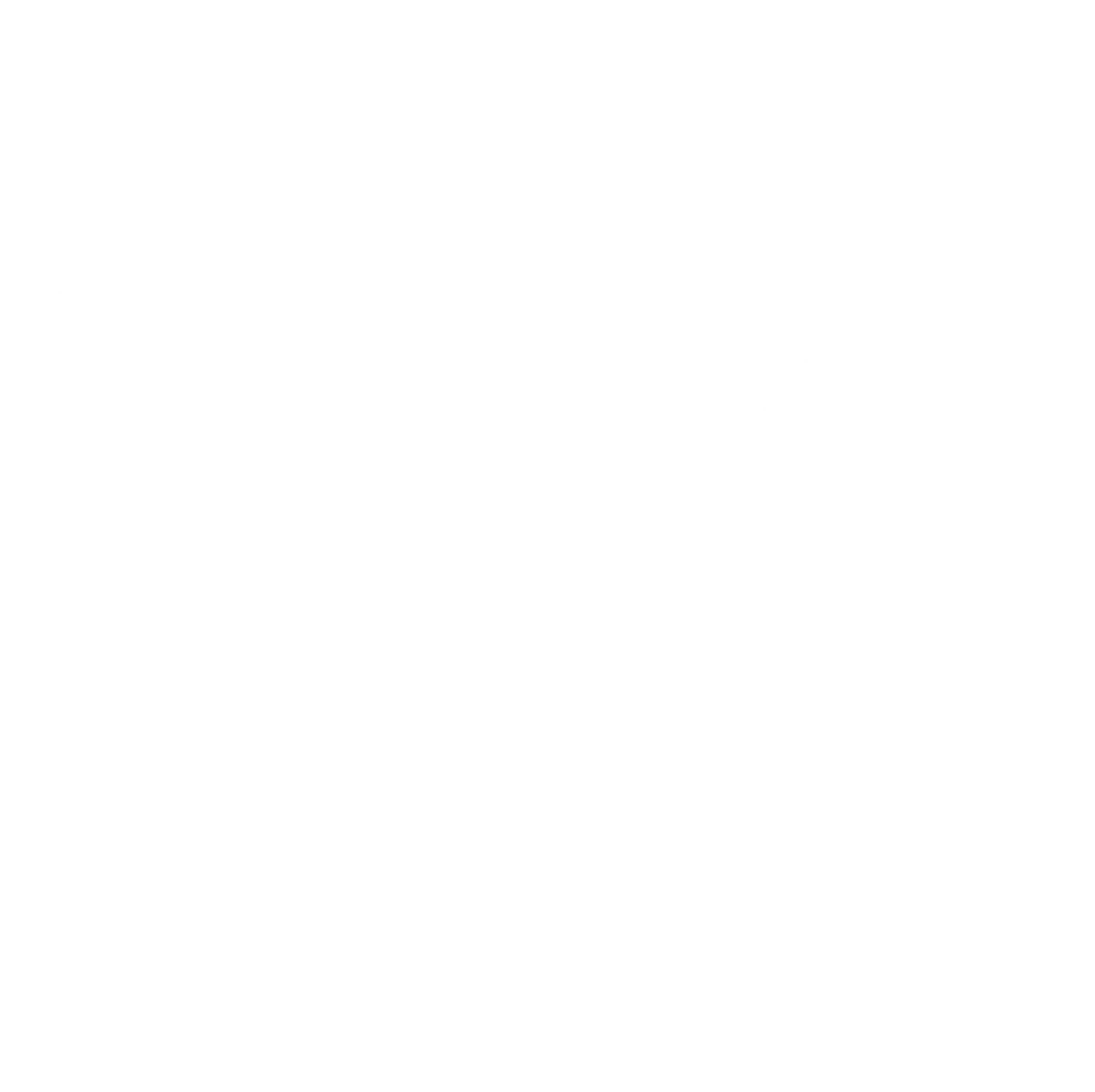 Bijana-Krstic-logotip
