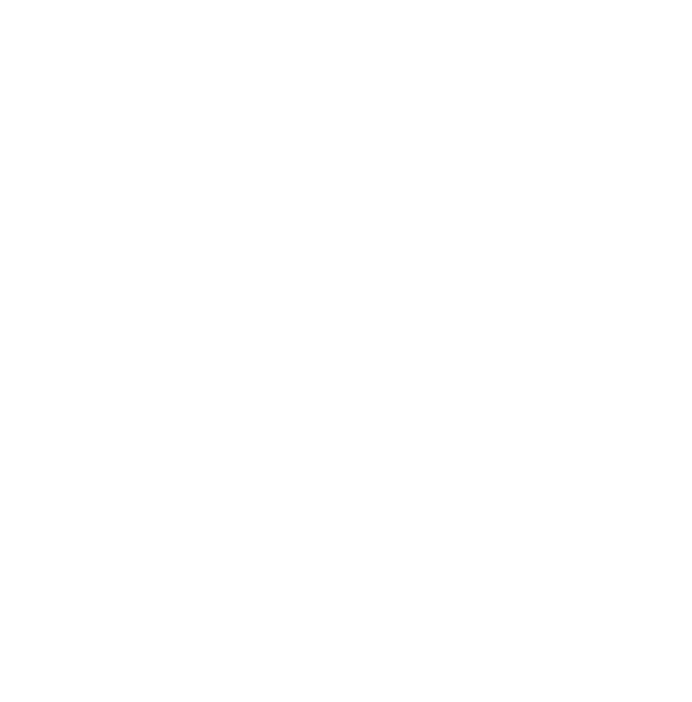 Valentina-Ilic-wivlors-logotip-1